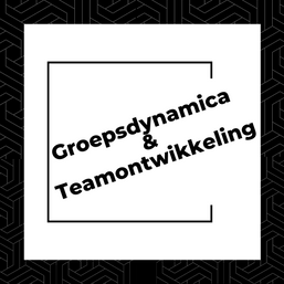 Groepsdynamica & teamontwikkeling